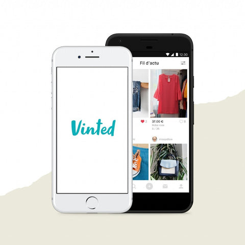 Ebook _ Vinted Guide Top 50 Lucrative Products to Sell on Vinted - julfripes